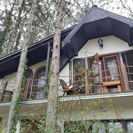Guesthouse Bajka Vinci Kamer foto