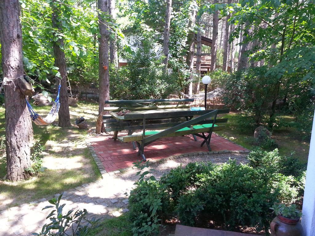 Guesthouse Bajka Vinci Buitenkant foto