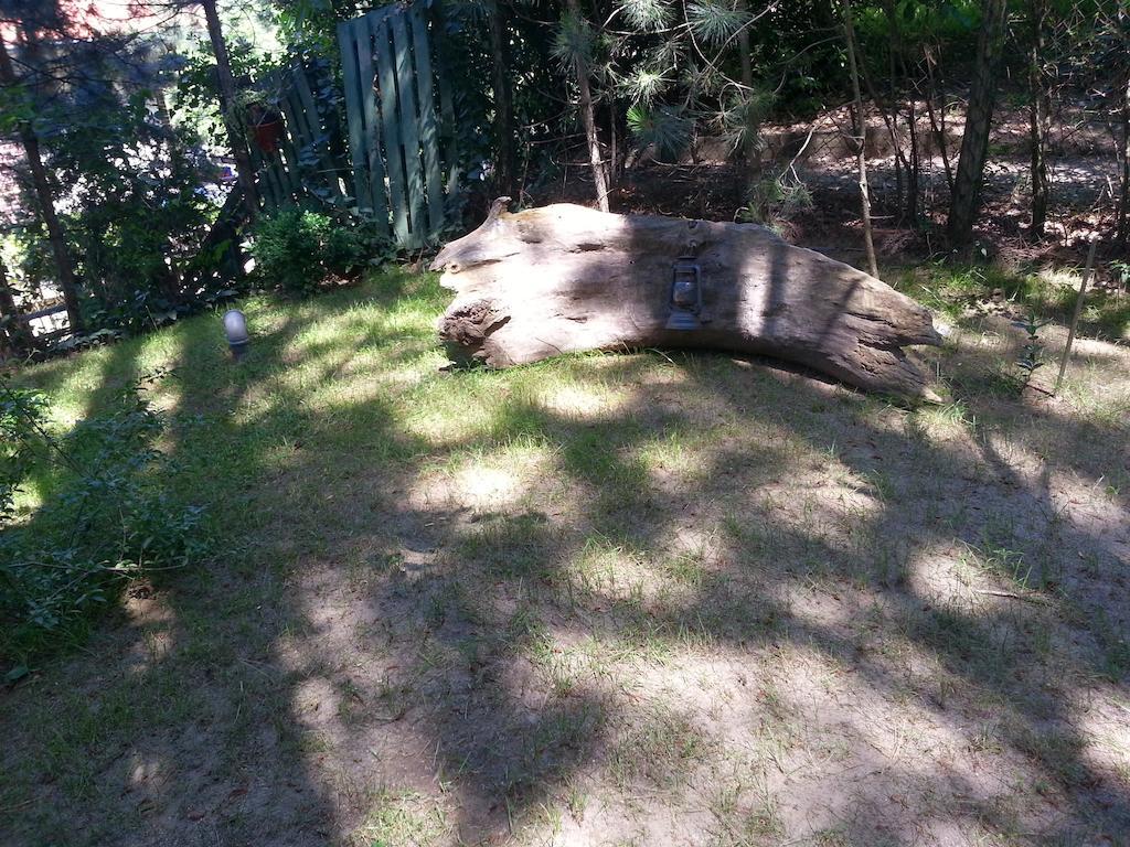 Guesthouse Bajka Vinci Buitenkant foto
