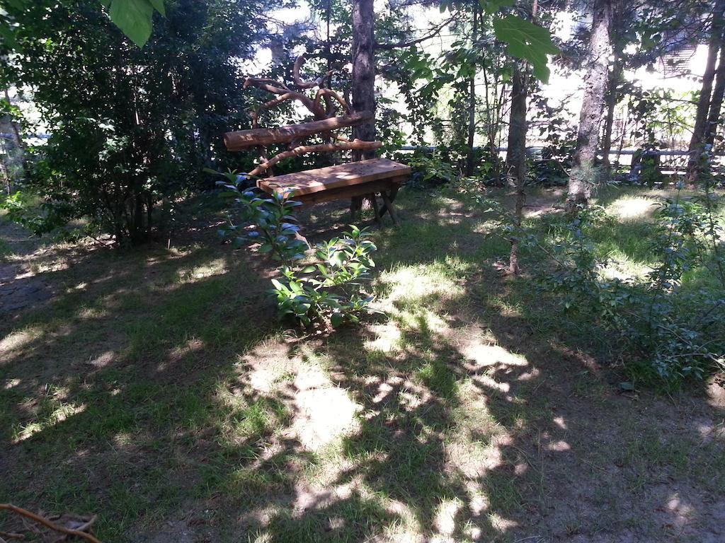 Guesthouse Bajka Vinci Buitenkant foto