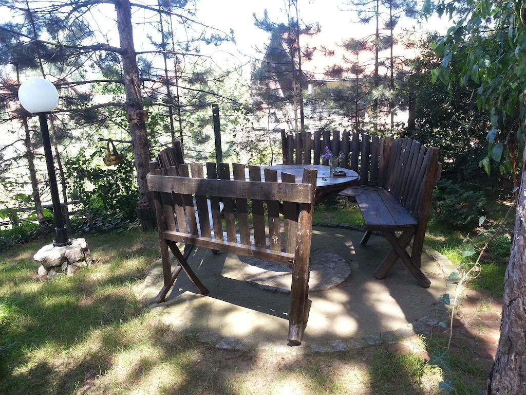 Guesthouse Bajka Vinci Buitenkant foto