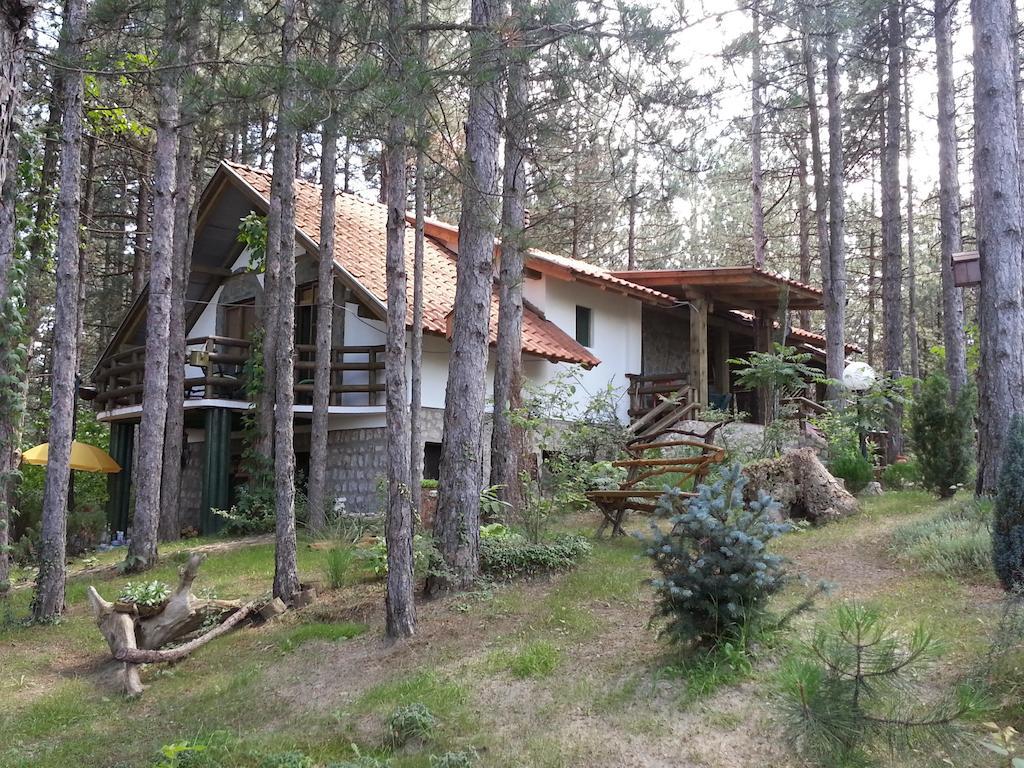 Guesthouse Bajka Vinci Buitenkant foto
