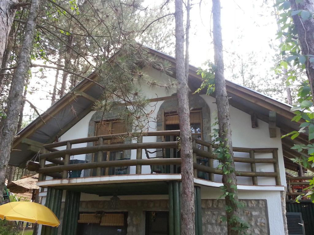 Guesthouse Bajka Vinci Buitenkant foto