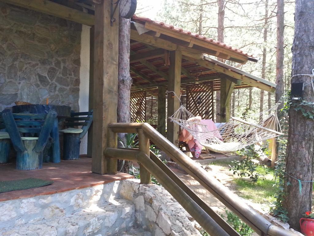 Guesthouse Bajka Vinci Buitenkant foto