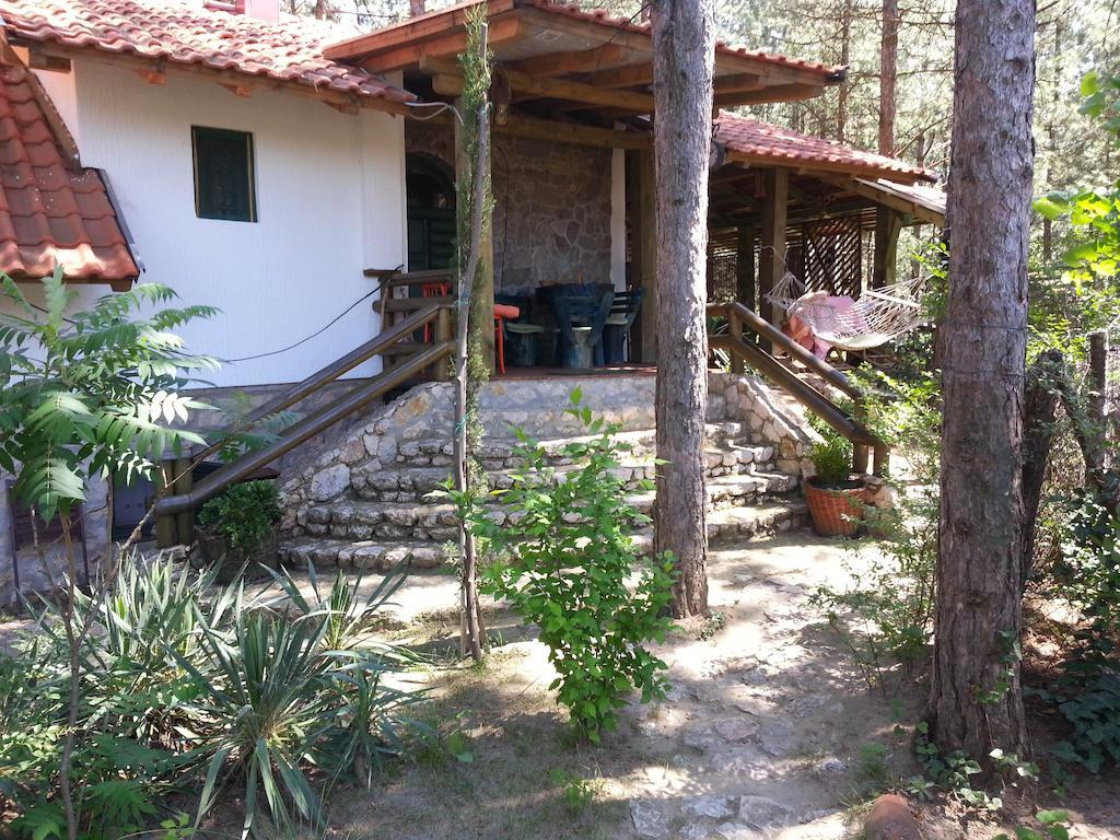 Guesthouse Bajka Vinci Buitenkant foto