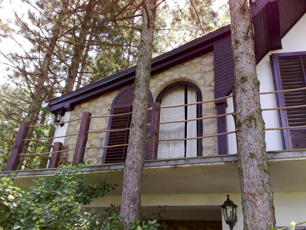 Guesthouse Bajka Vinci Buitenkant foto