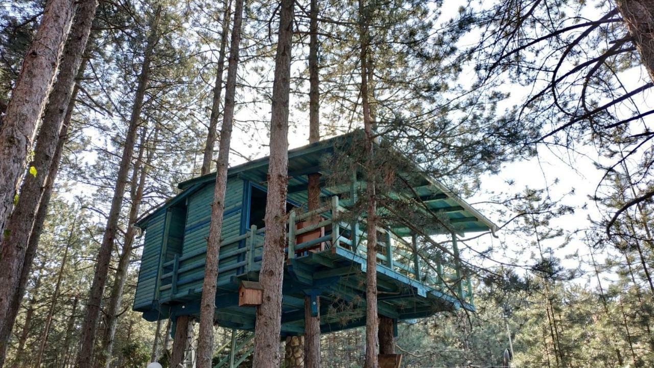 Guesthouse Bajka Vinci Buitenkant foto
