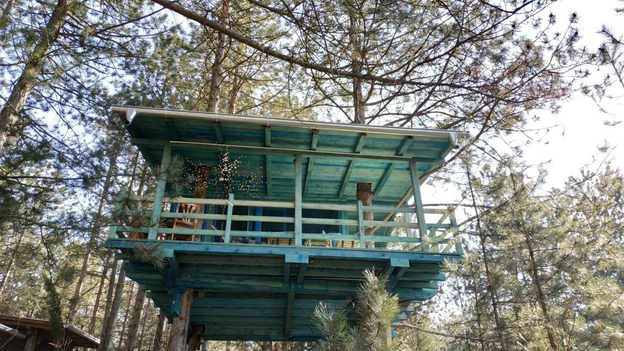 Guesthouse Bajka Vinci Buitenkant foto